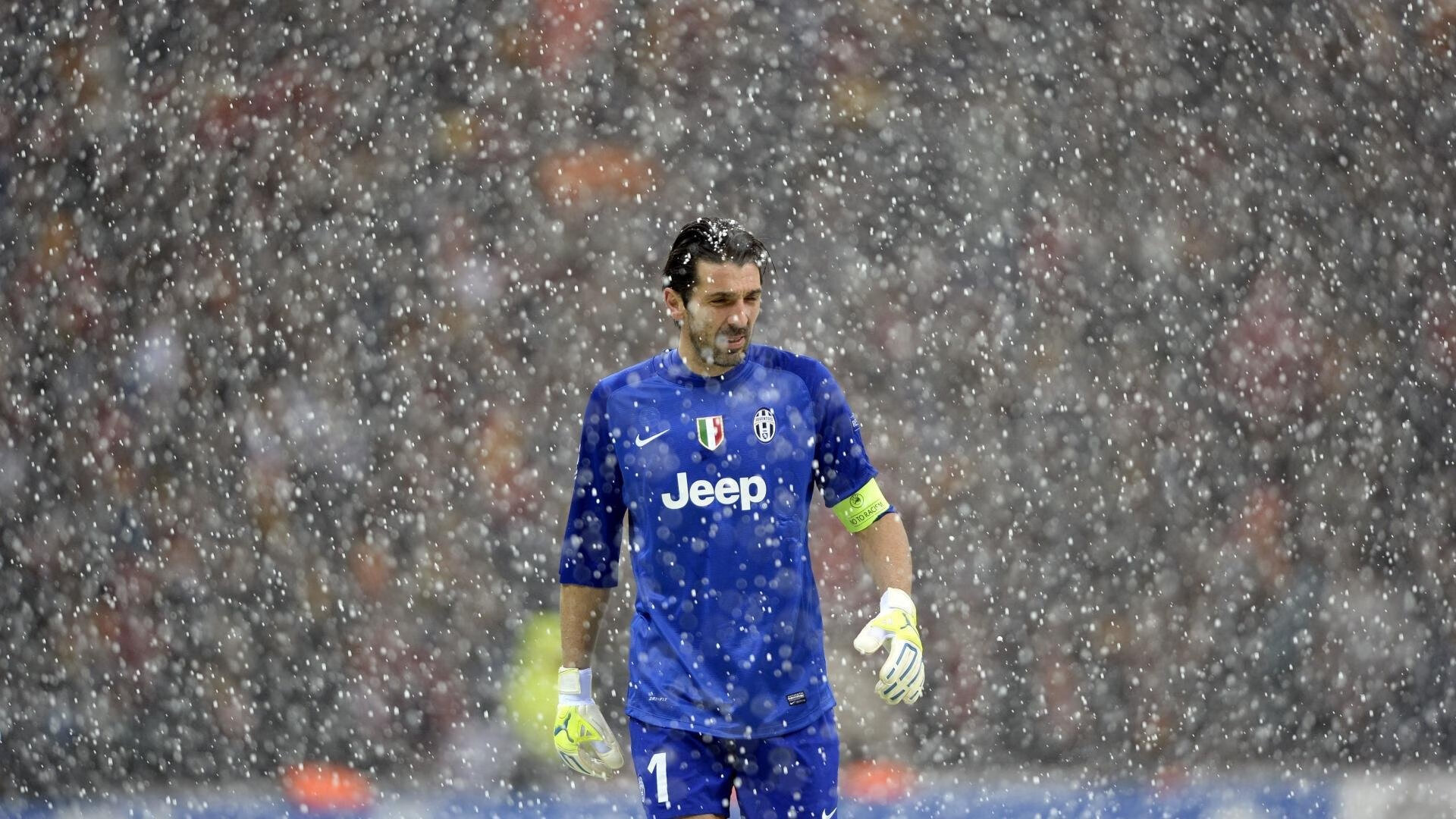 范弗利特，森林狼防线前的无解密码